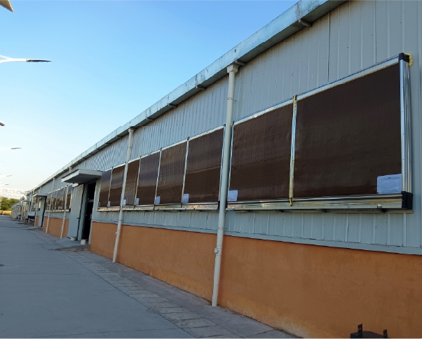 负压风机+水帘组合式降温 (3)