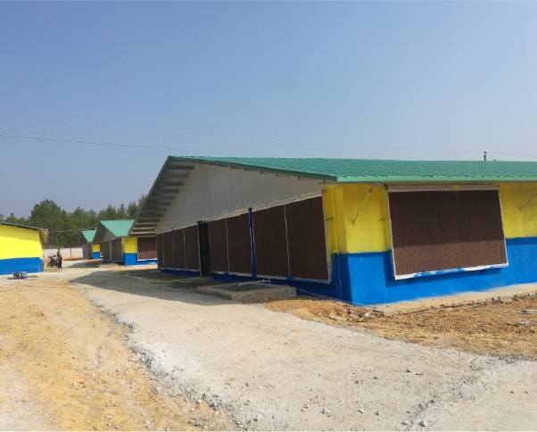 水帘墙降温案例（越南）